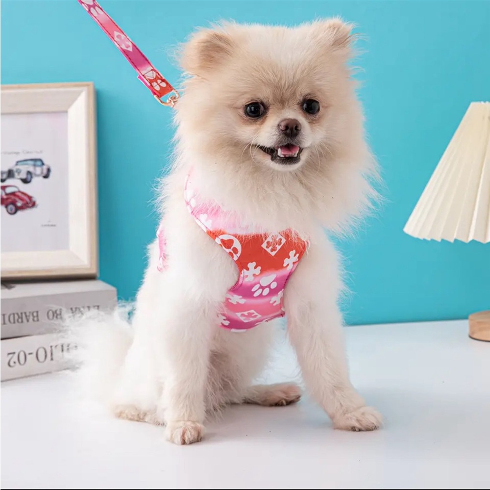 Luxury style dog harness and leash